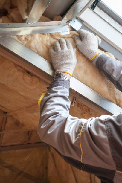 Best Insulation Maintenance and Repair in Patrick Springs, VA